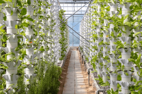Sustainability Agriculture